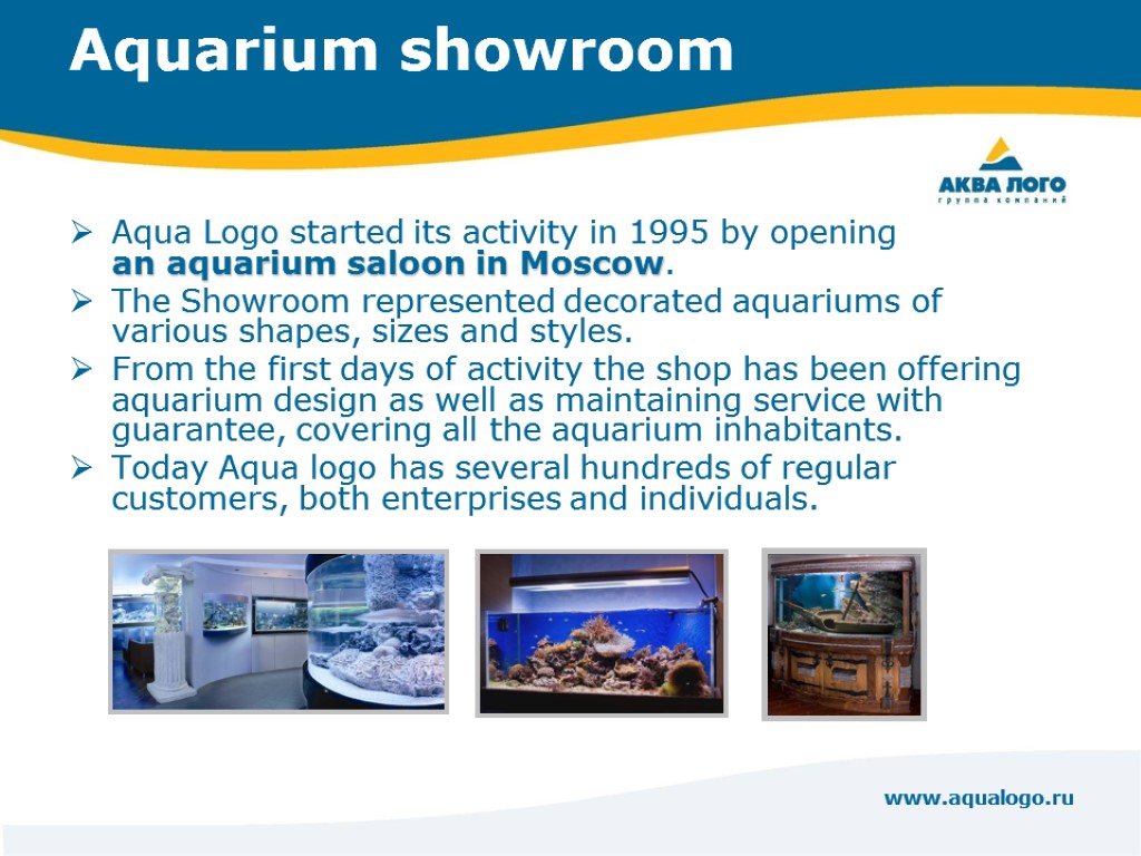 www.aqualogo.ru Aquarium showroom Aqua Logo started its activity in 1995 by opening an aquarium
